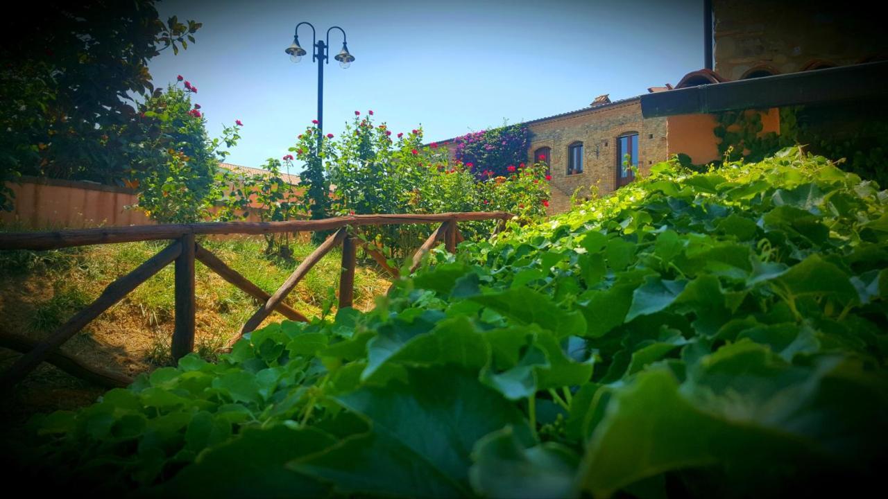 La Masseria Lolivia Senise Bagian luar foto